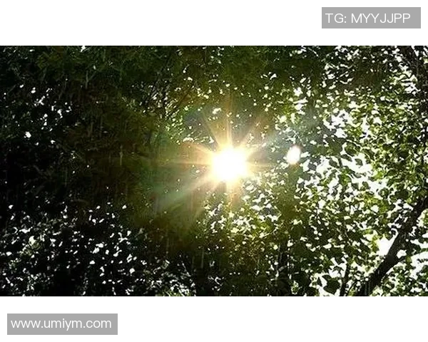 镜头捕捉:太阳赛场小动作引发热议 镜头捕捉:太阳赛场小动作引发热议