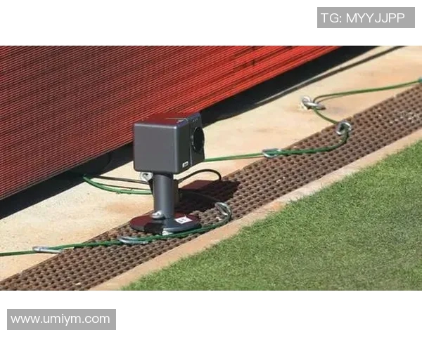 国际网球比赛中鹰眼挑战成功率与球员抗压能力的关联性研究