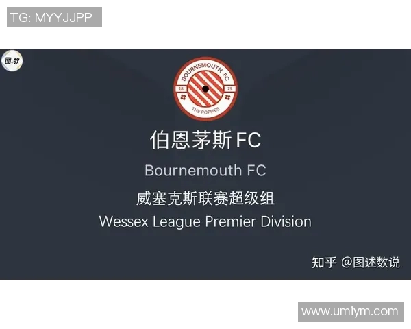 英超赛季中期积分格局解析与争冠形势走势深度预测